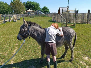 ezeltherapie voor mensen met fysieke of mentale beperking