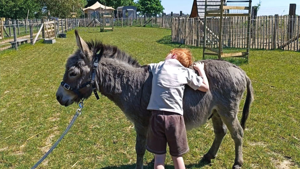 ezeltherapie voor mensen met fysieke of mentale beperking