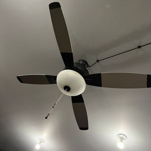 Fan Conversion
