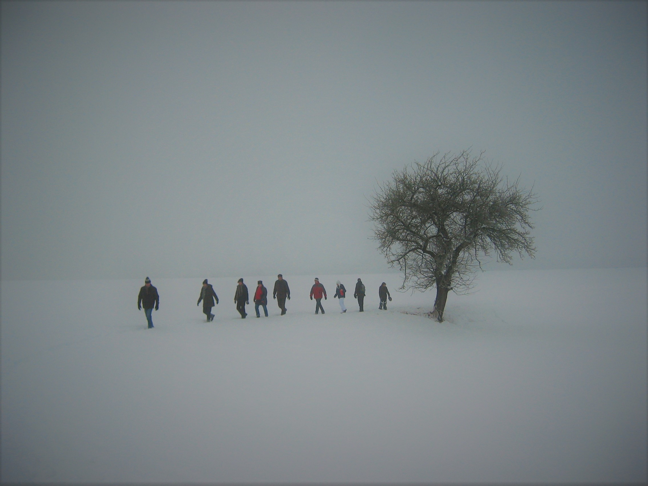 Winterwanderung 2010