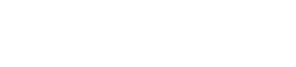 41.png