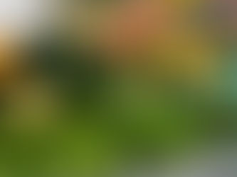 How to Step Up Your Salad Game Anytime!