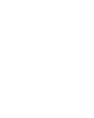 oakleaf_edited.png