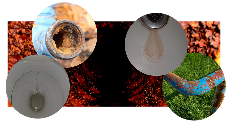 IMAGENS SITE (Banner para YouTube) (20).png