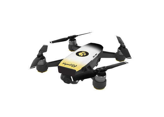 DRONE.png