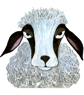 Saoirse the Supercilious Sheep.png