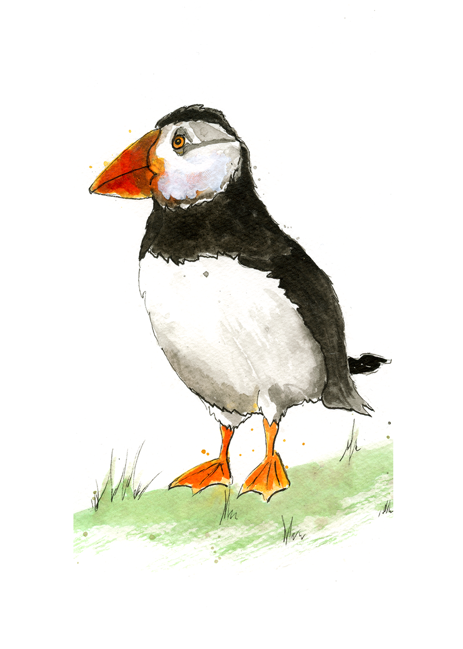 Pierre the Peeved Puffin