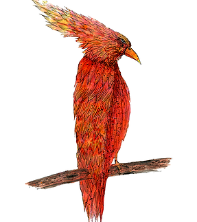 Phineas the Formidable Pheonix.png