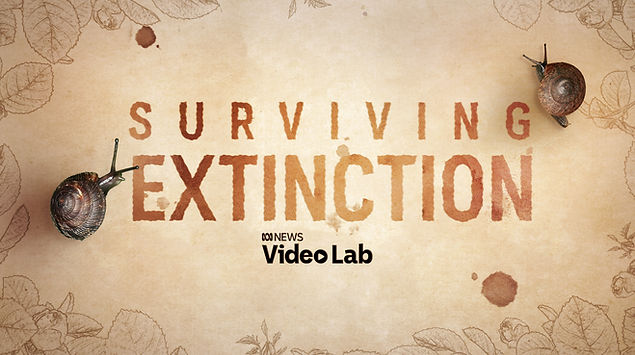 THUM SURVIVING EXTINCTION V6 13.jpg