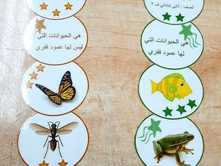 عمـل الأنشـطه المدرسيـة