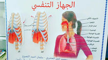 عمـل المجسمات المدرسيـة