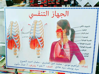 عمـل المجسمات المدرسيـة