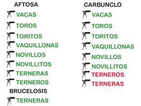 Inicio de la primera campaña 2026