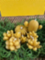 mini succulent set of candles