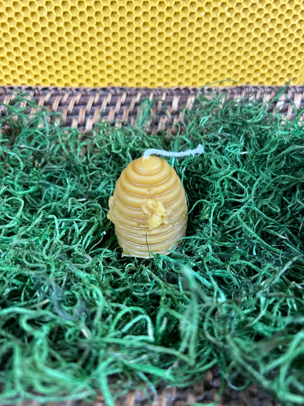 mini bee skep beeswax candle