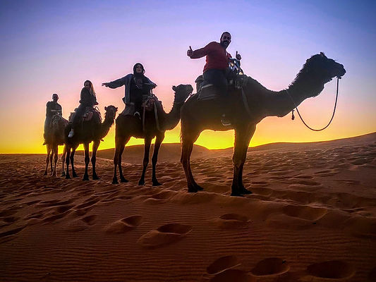 camel-trips-luxury-camp (1).jpg