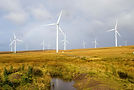 windfarm-5643310.jpg