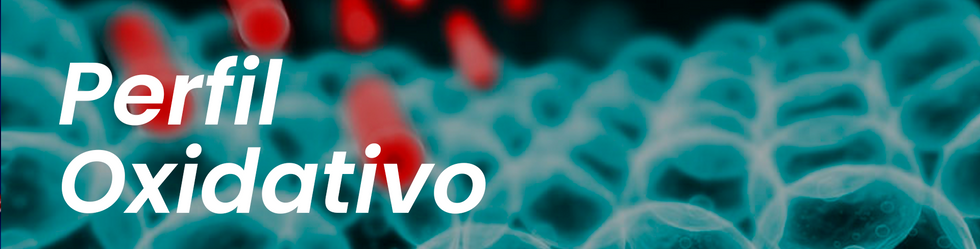 perfil oxidativo.png