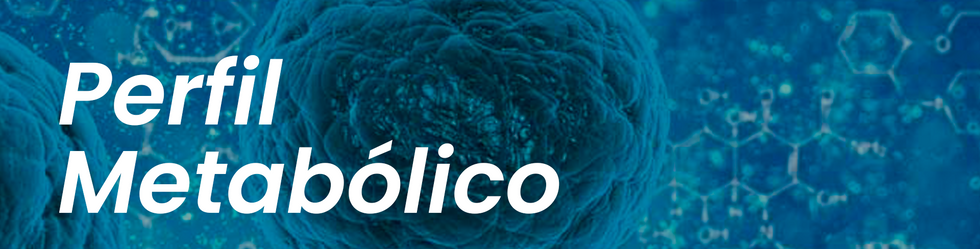 perfil metabolico.png