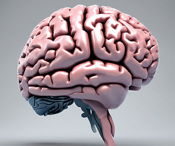 3D animated image of a human brain