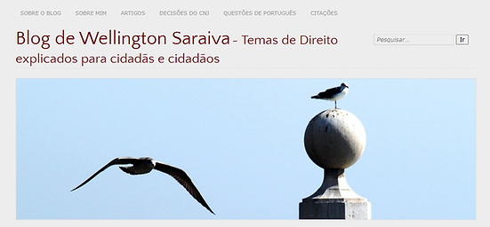 blogdewsaraiva.png