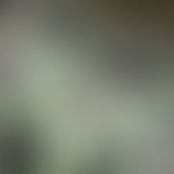 "Common Signs of a Leaking Subaru Cylinder Head Gasket and How to Address Them"