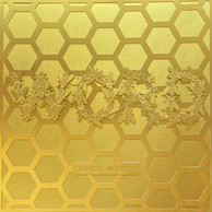 PeterERoberts_BuzzWord_12x12_PapercutAssemblage.JPEG