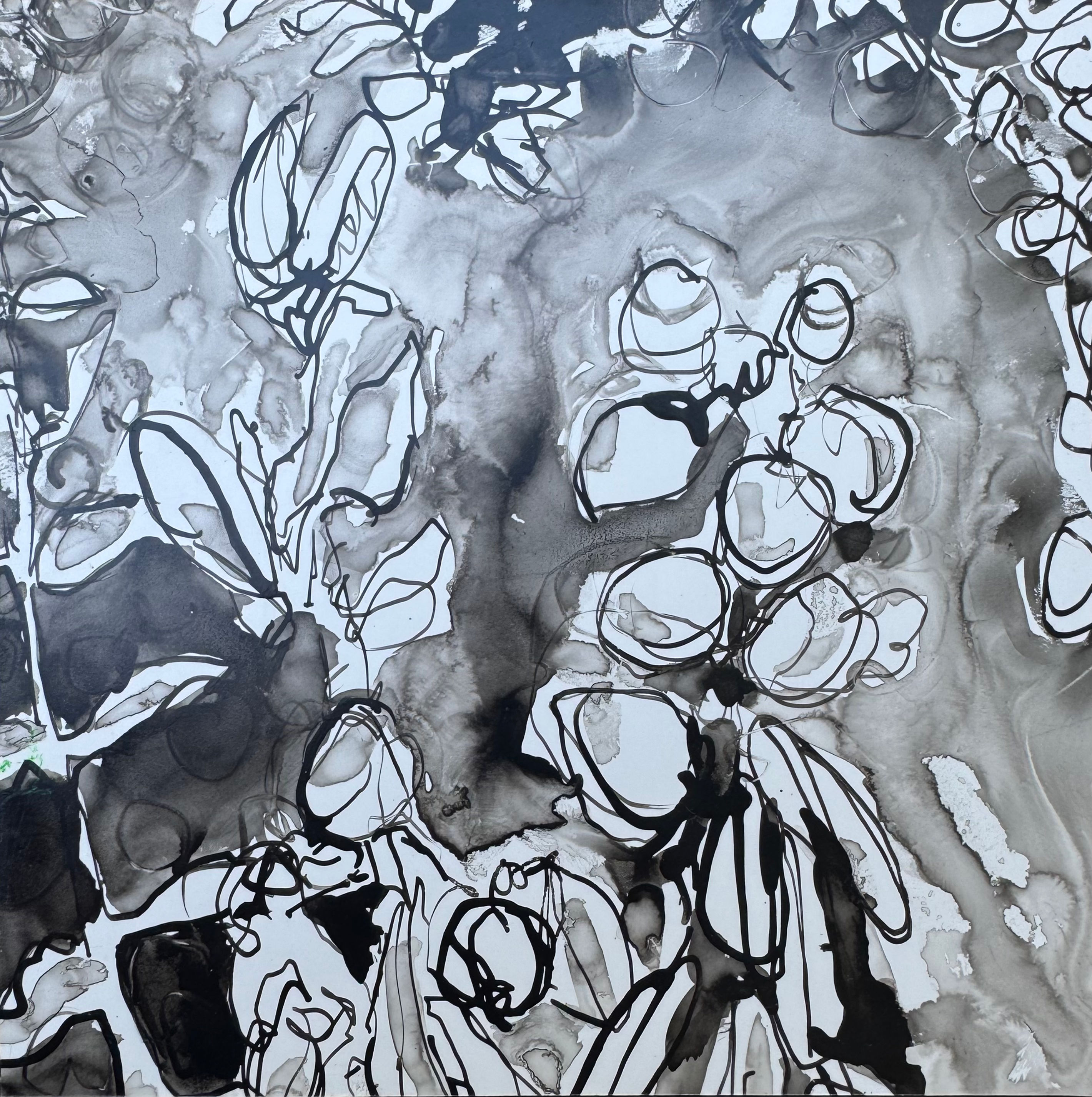 Carmela Aliffi-"Wild 3"