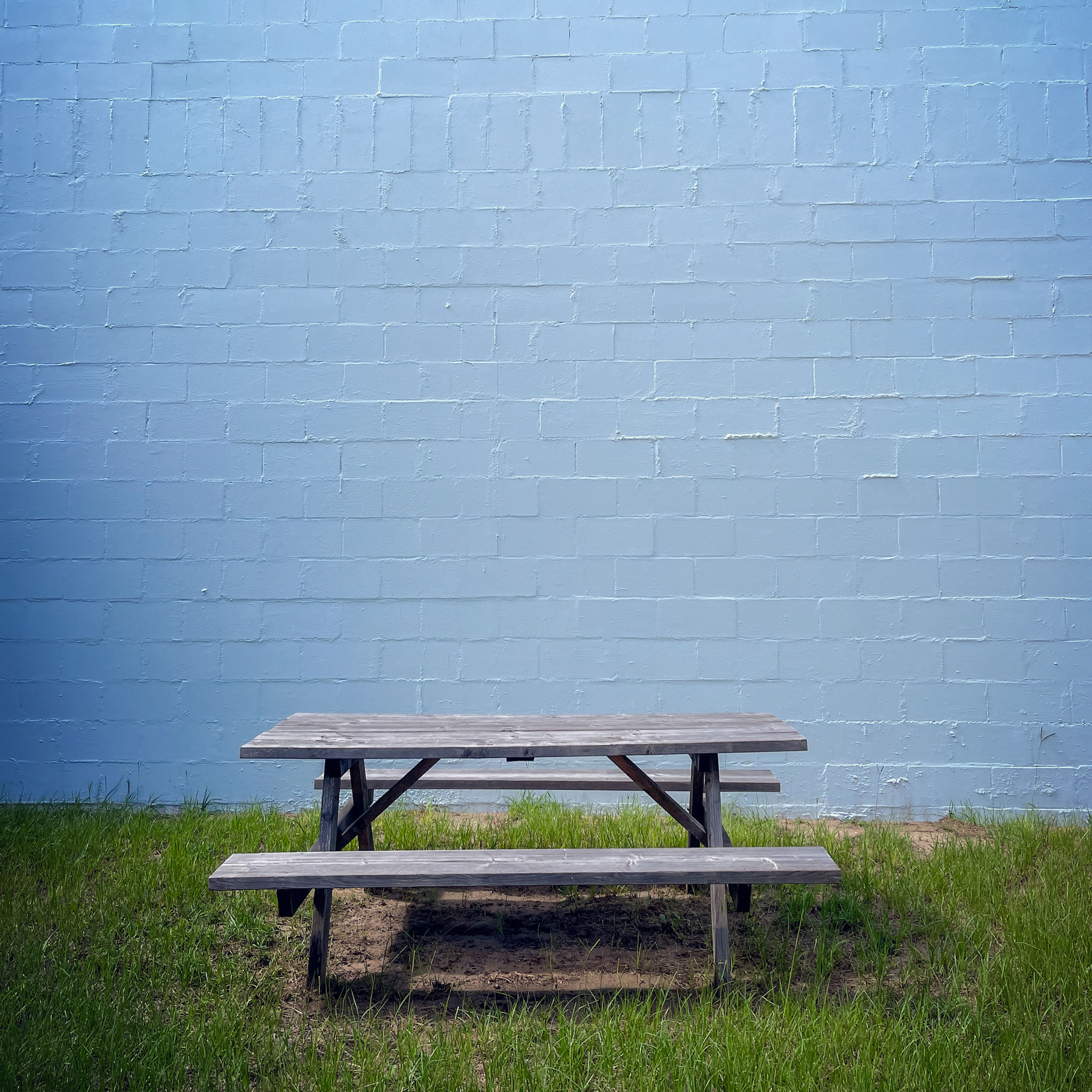 Anna Bliss-No Picnic