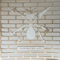 PeterERoberts_CarpenterAnt_12x12_PapercutAssemblage.JPEG