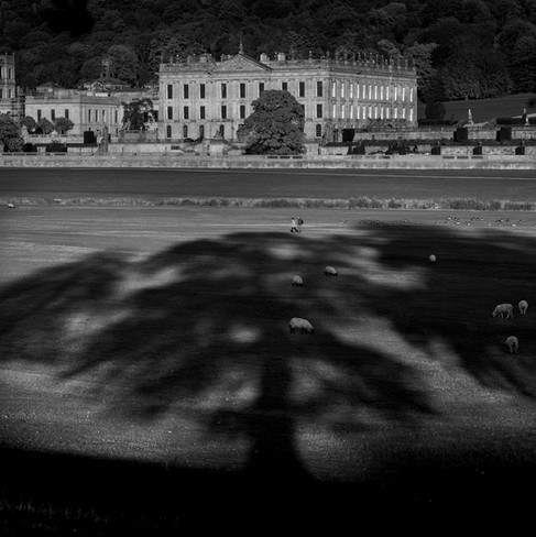 bw-015.jpg