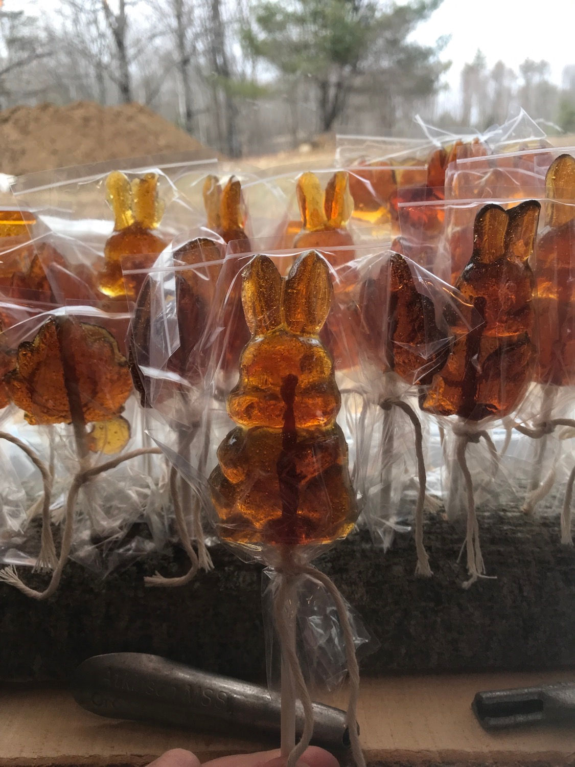 Maple Lollipops 