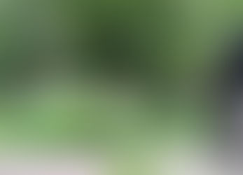 Help Us Kick Off Project Green