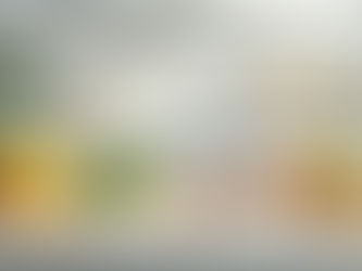 Natural Bitterness Blockers Market Size: Growth, Trends, and Future Outlook