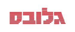 גלובס.png