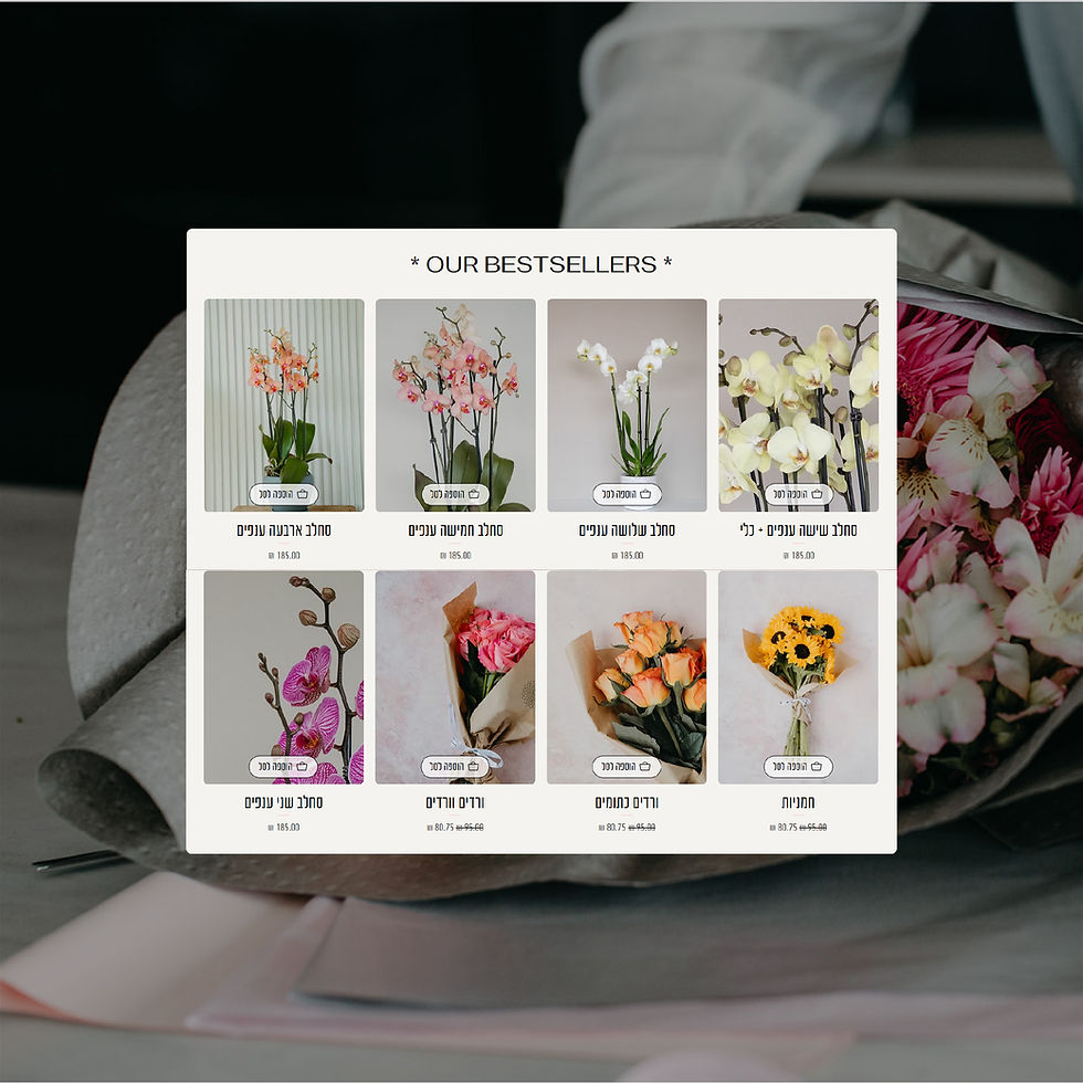 Website design agency