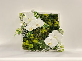 フレームモス フラワーアレンジ