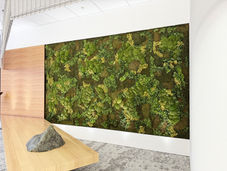 ノルディックモス| Nordicmoss by andC | モス輸入・販売 壁面緑化
