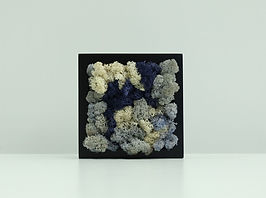 ミニフレーム16cm角