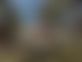 What College Tours Have Taught Me About Buying a House (And Vice Versa)