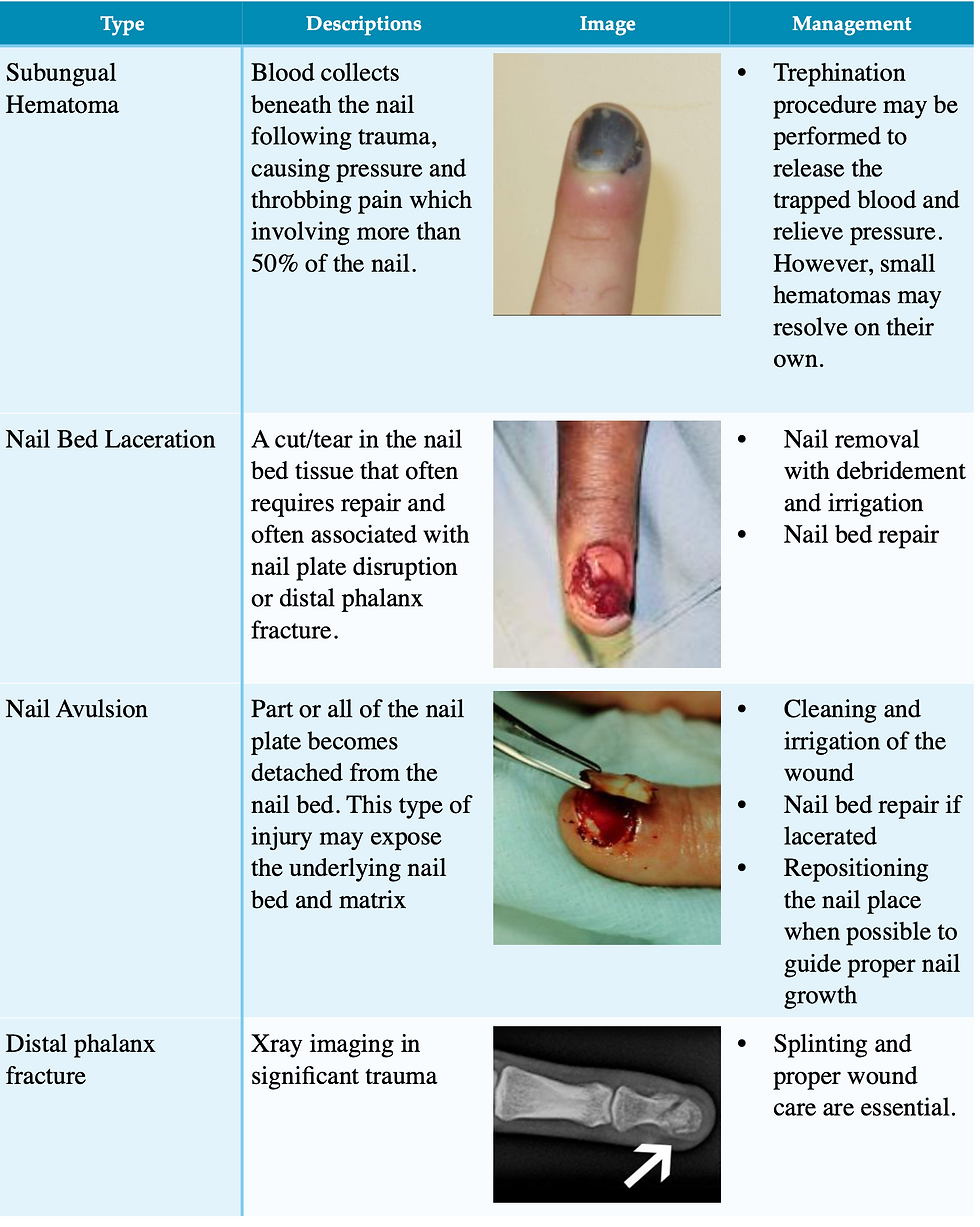Type of Nail Bed Injuries
