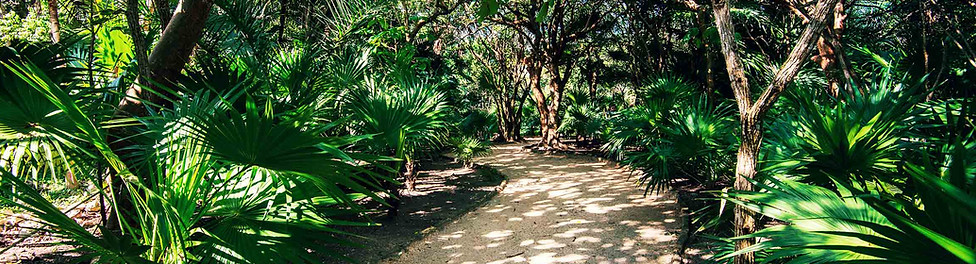 tulum-mexico-labnaha-pin-and-travel@2x.j