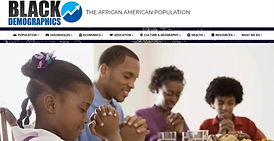 Black Demographics.jpg