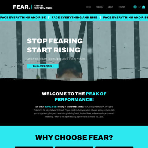 FEAR Hybrid Performance