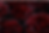 Screenshot 2025-12-12 154243.png