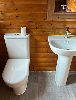 toilet and basin photo.jpeg