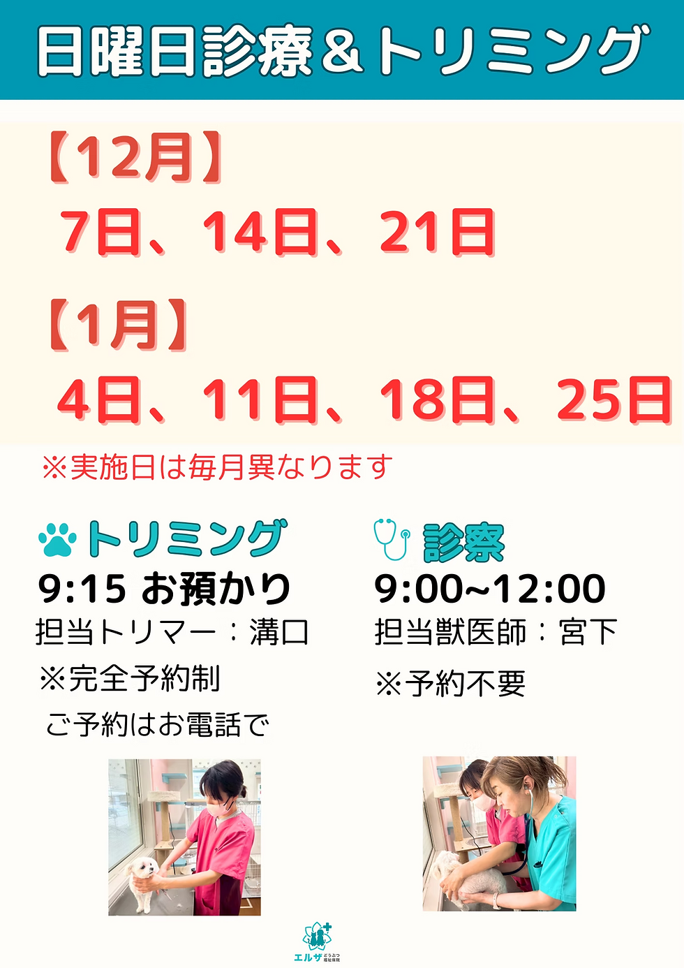 【12月・1月】日曜診療と日曜トリミングスケジュール