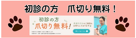 名称未設定のデザイン (11).png