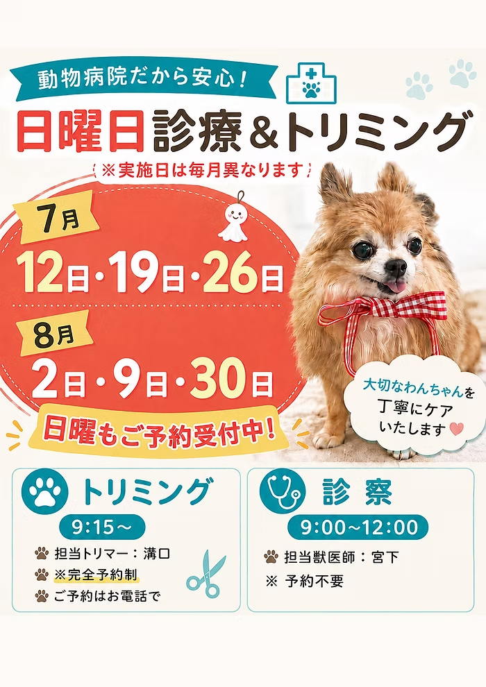 7月＆8月日曜診療日＆日曜トリミング