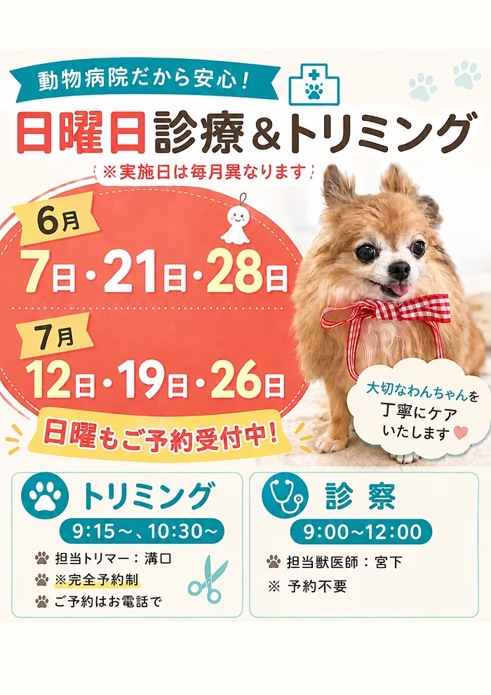 6月＆7月日曜日診療＆トリミングのお知らせ